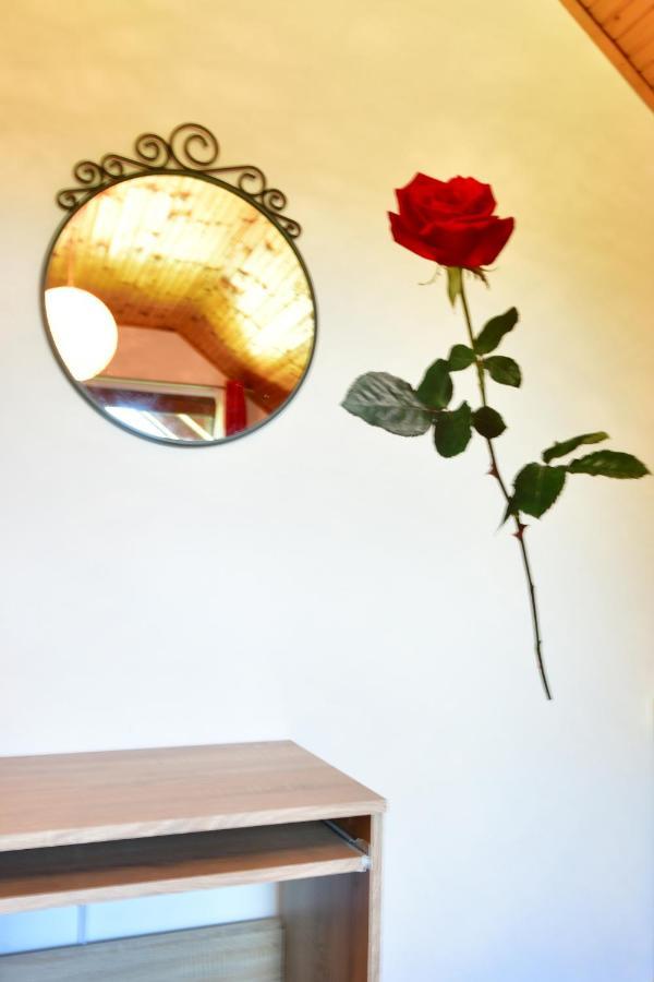 Apartman Jelena Раковица Екстериор снимка